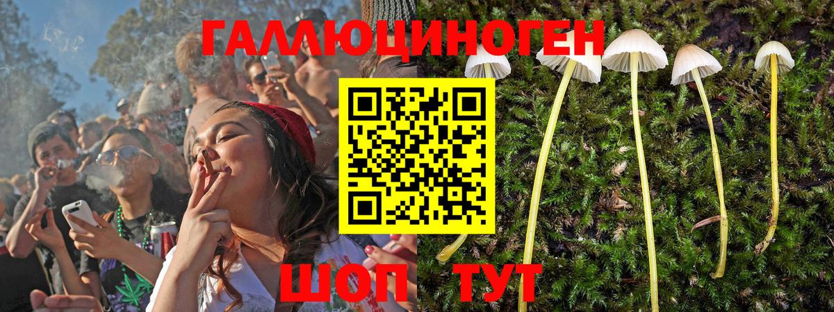 Галлюциногенные грибы прущие грибы  Псилоцибиновые грибы Psilocybine cubensis  Лабинск  Вход с VPN 
