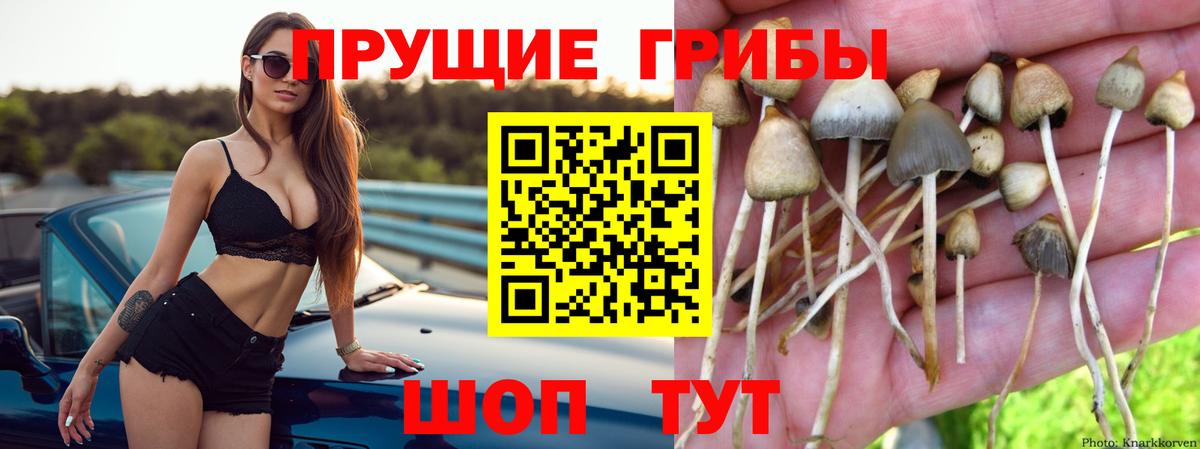 Псилоцибиновые грибы мухоморы Лабинск